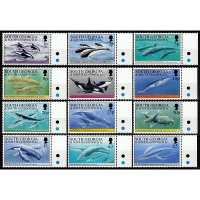 Ballenas y Delfines